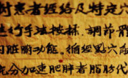 Ancient Chinese writings on acupuncture